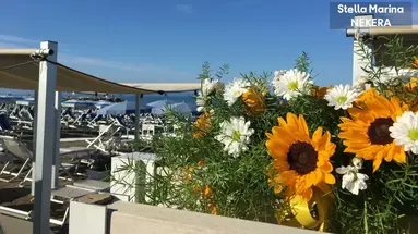 Stella Marina (Cecina Mare)