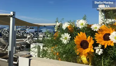 Stella Marina (Cecina Mare)