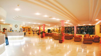 Stella Paradise