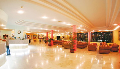 Stella Paradise