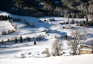 Stigenwirth