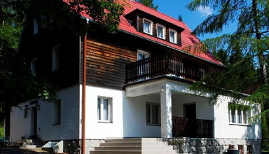 Stokrotka