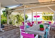 Studia Nikos