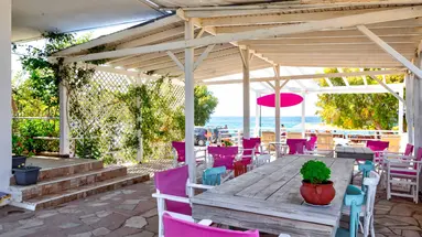 Studia Nikos