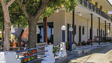 Studia Teologos