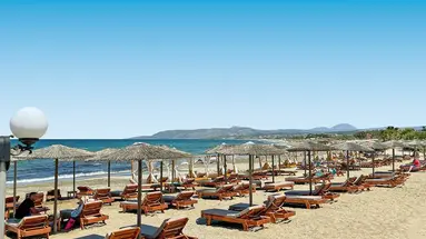 Summer Beach