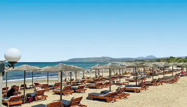 Summer Beach