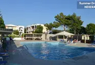 Summer Dream