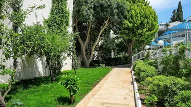 Summer Garden