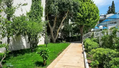 Summer Garden