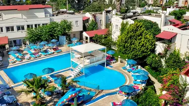 Summer Garden