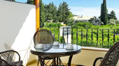 Summer Garden