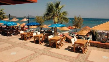 Summer Sun Beach