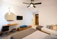 Summer Village of Hippocrates