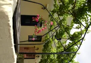 Summerland & Bungalows