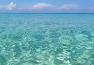 Sun Sea Bar