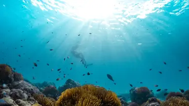 Sun Siyam Iru Fushi
