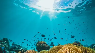 Sun Siyam Iru Fushi