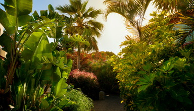 Sunconnect Atlantis Fuerteventura