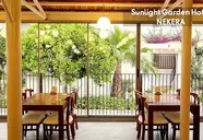 Sunlight Garden