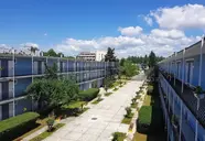 Sunny Beach Garden