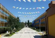 Sunny Beach Garden