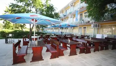 Sunny Beach Garden