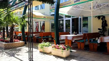 Sunny Day Club