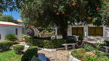 Sunny Garden (Dassia)