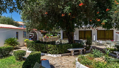 Sunny Garden (Dassia)