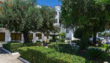 Sunny Garden (Dassia)