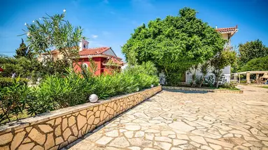 Sunny Garden