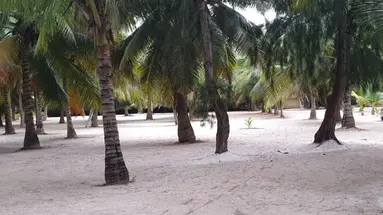 Sunset Kendwa Bungalows