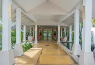 Sunshine Garden