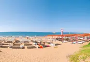 Sural Saray