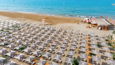 Sural Saray