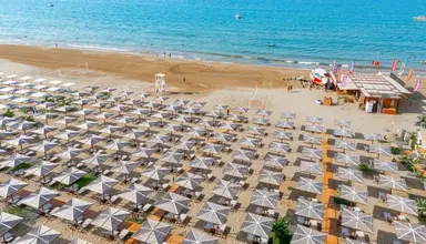 Sural Saray