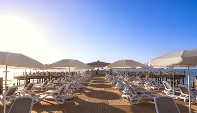 Swandor Kemer