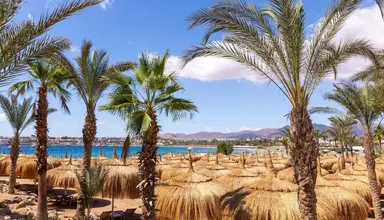 Swissotel Sharm El Sheikh
