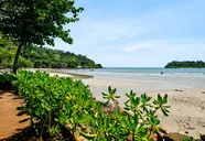 Sylvan Koh Chang