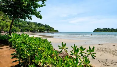 Sylvan Koh Chang