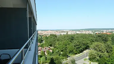 Szieszta