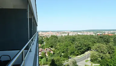Szieszta