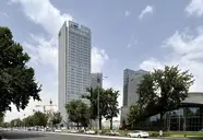T - City Presidential