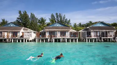 Taj Coral Reef Resort & Spa