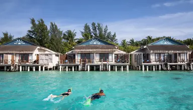 Taj Coral Reef Resort & Spa