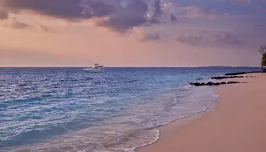 Taj Coral Reef Resort & Spa