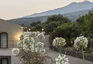Tale Restaurant & Suite