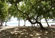 Tamarin by Veranda Resorts