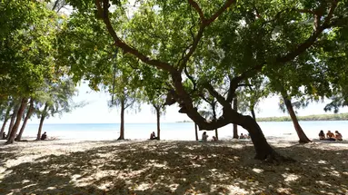 Tamarin by Veranda Resorts